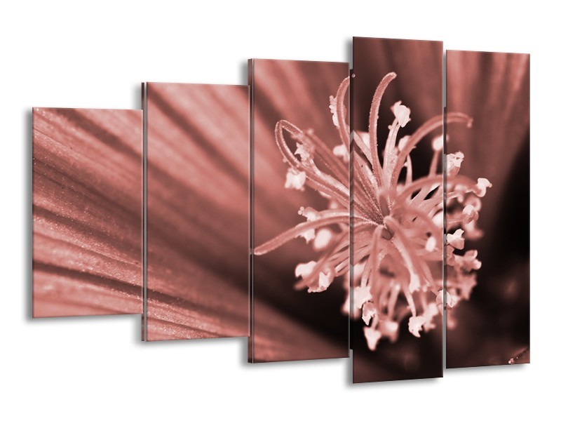 Canvas Schilderij Bloem | Bruin, Rood | 150x100cm 5Luik