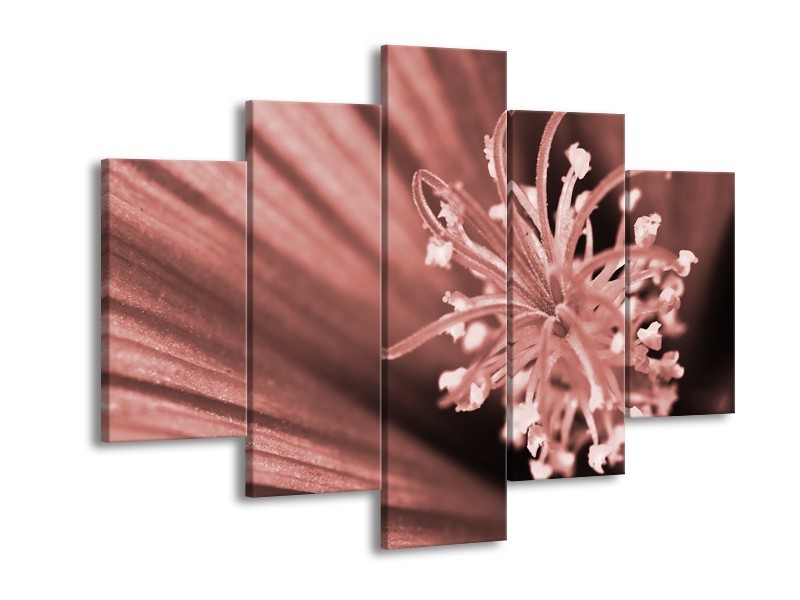 Glasschilderij Bloem | Bruin, Rood | 150x105cm 5Luik