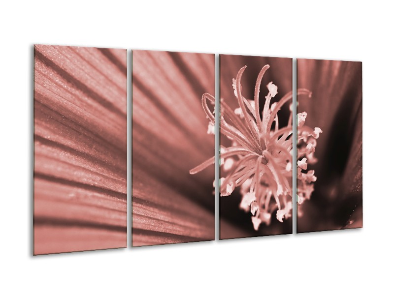 Canvas Schilderij Bloem | Bruin, Rood | 160x80cm 4Luik