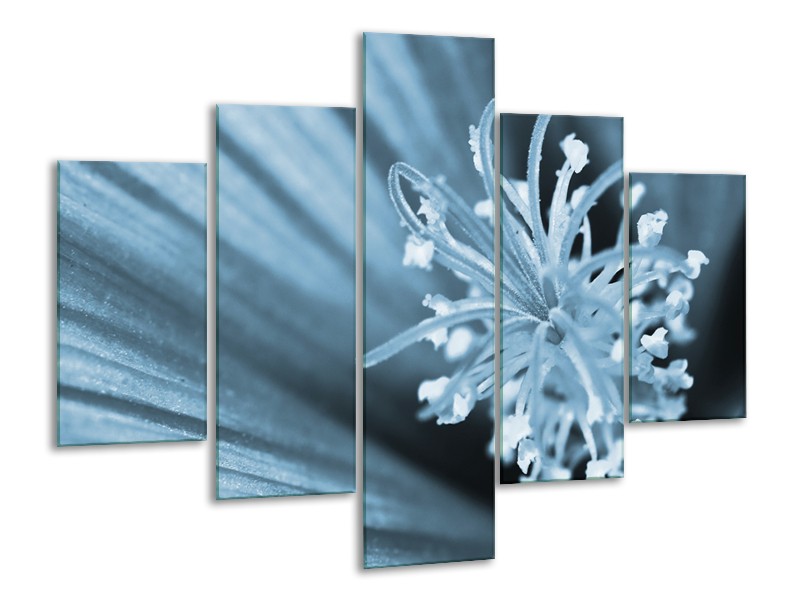 Glasschilderij Bloem | Blauw | 100x70cm 5Luik