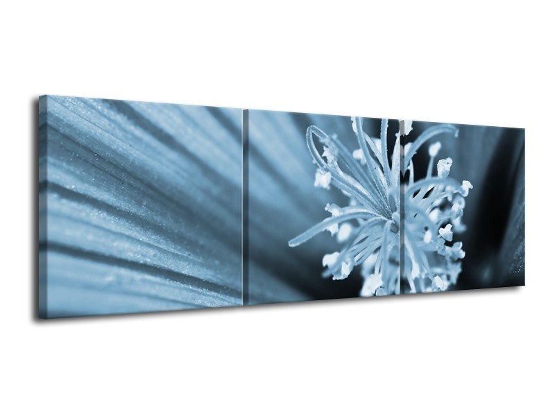 Canvas Schilderij Bloem | Blauw | 120x40cm 3Luik