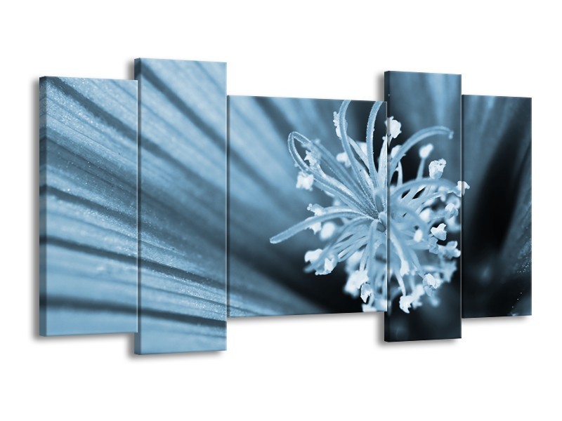 Canvas Schilderij Bloem | Blauw | 120x65cm 5Luik