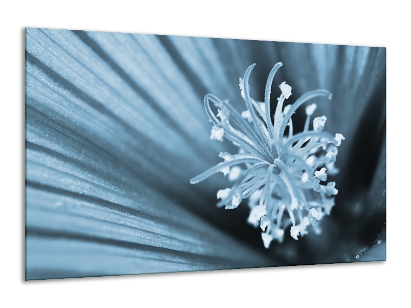 Glasschilderij Bloem | Blauw | 120x70cm 1Luik