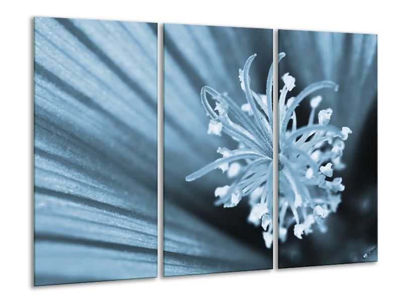 Canvas Schilderij Bloem | Blauw | 120x80cm 3Luik