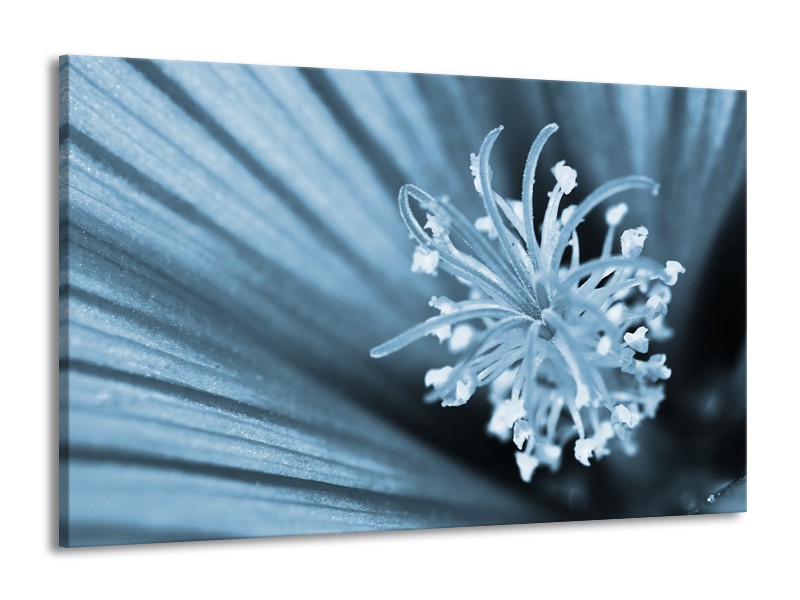 Glasschilderij Bloem | Blauw | 140x90cm 1Luik