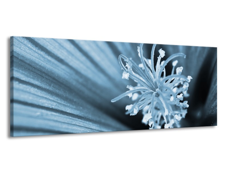 Canvas Schilderij Bloem | Blauw | 145x58cm 1Luik