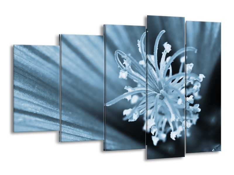 Canvas Schilderij Bloem | Blauw | 150x100cm 5Luik