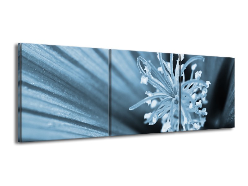 Canvas Schilderij Bloem | Blauw | 150x50cm 3Luik