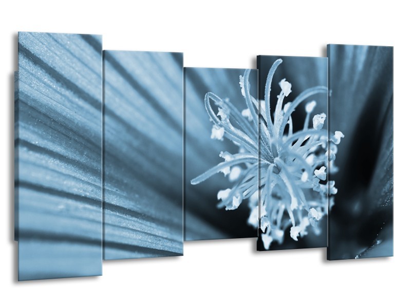 Canvas Schilderij Bloem | Blauw | 150x80cm 5Luik