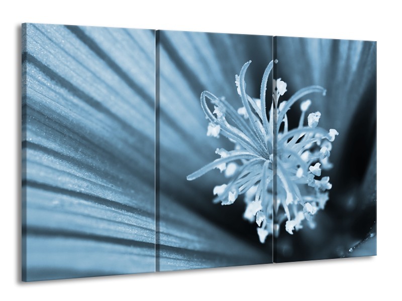 Glasschilderij Bloem | Blauw | 165x100cm 3Luik