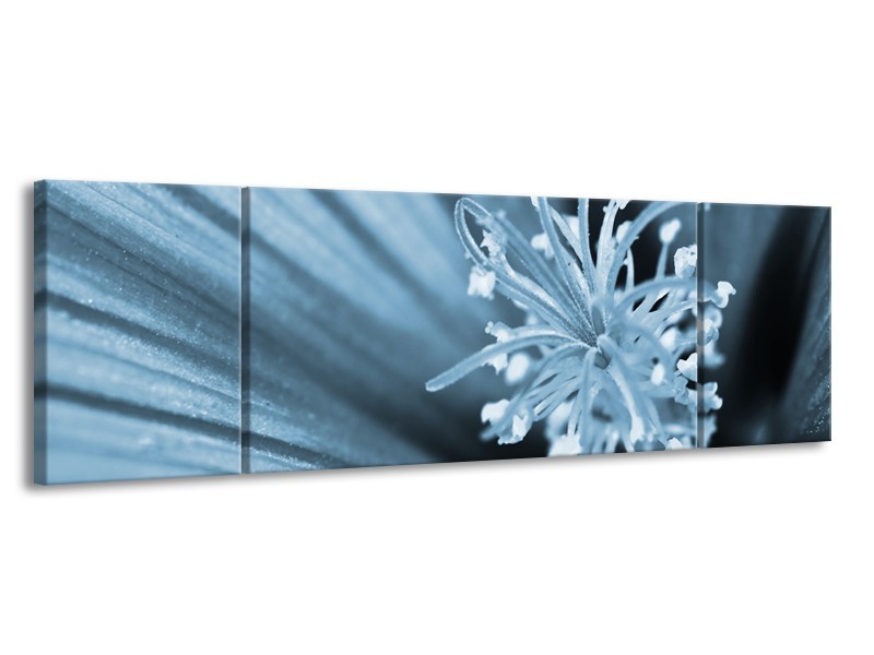 Glasschilderij Bloem | Blauw | 170x50cm 3Luik