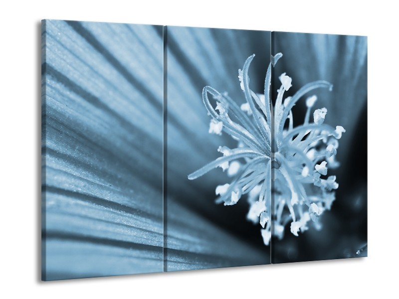 Canvas Schilderij Bloem | Blauw | 60x90cm 3Luik