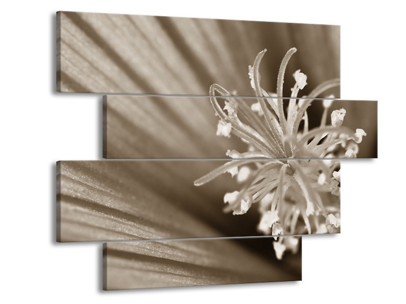 Glasschilderij Bloem | Sepia | 115x85cm 4Luik