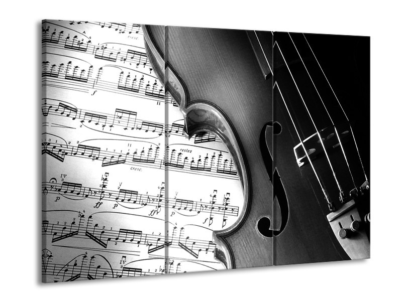 Glasschilderij Muziek | Zwart, Grijs, Wit | 60x90cm 3Luik