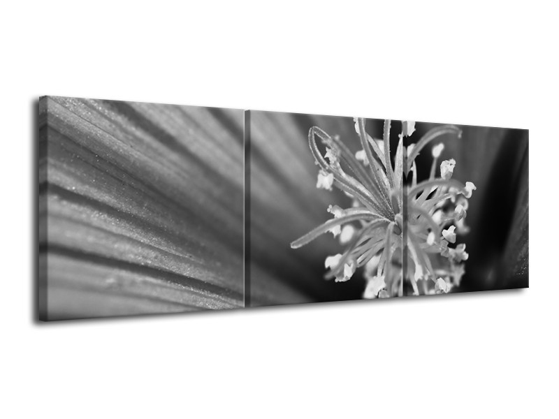 Canvas Schilderij Bloem | Zwart, Grijs, Wit | 120x40cm 3Luik