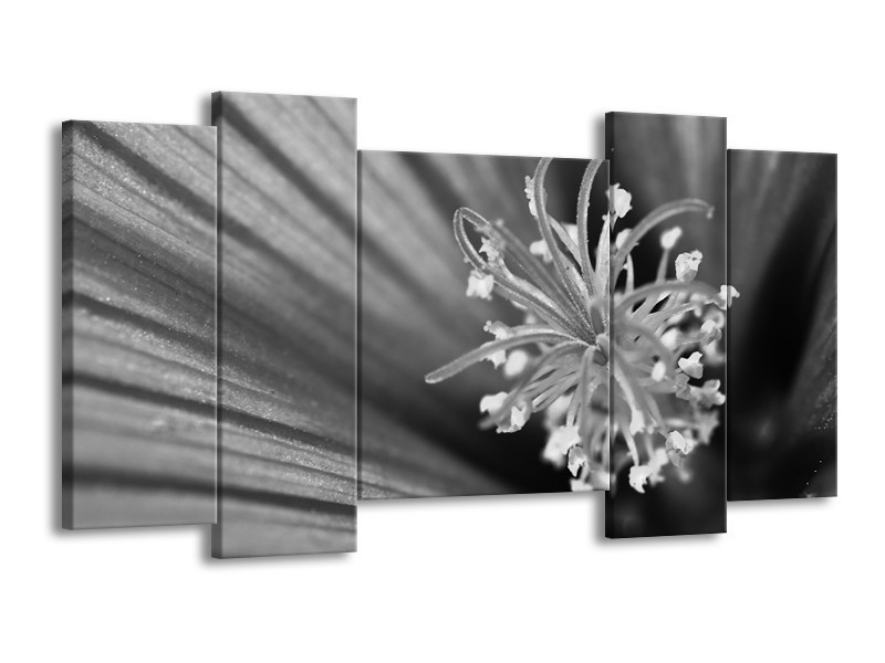 Glasschilderij Bloem | Zwart, Grijs, Wit | 120x65cm 5Luik