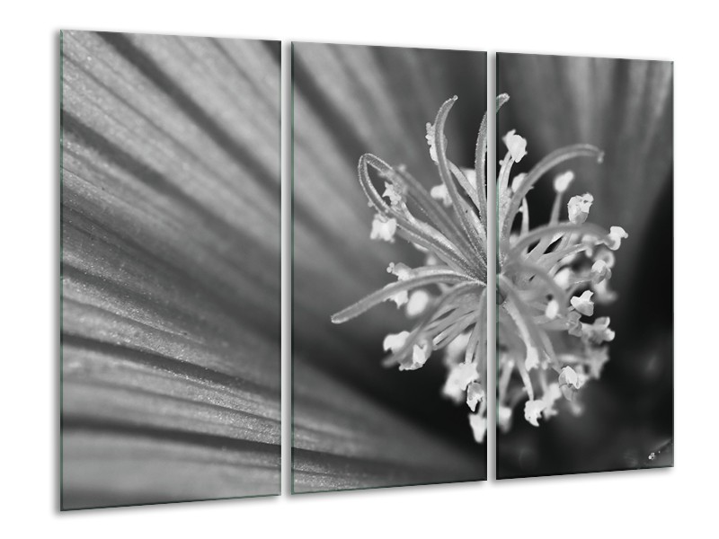 Glasschilderij Bloem | Zwart, Grijs, Wit | 120x80cm 3Luik