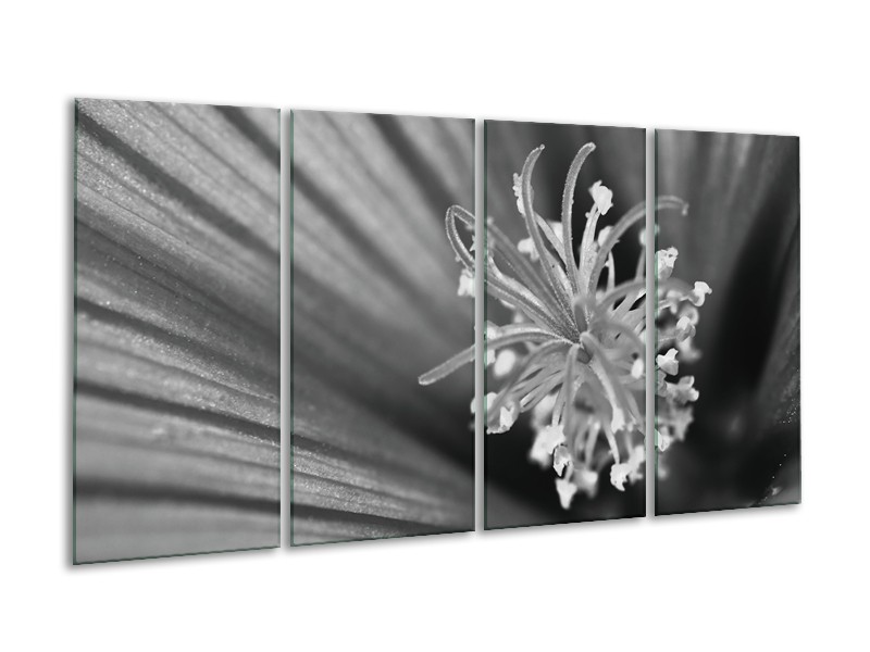 Glasschilderij Bloem | Zwart, Grijs, Wit | 160x80cm 4Luik