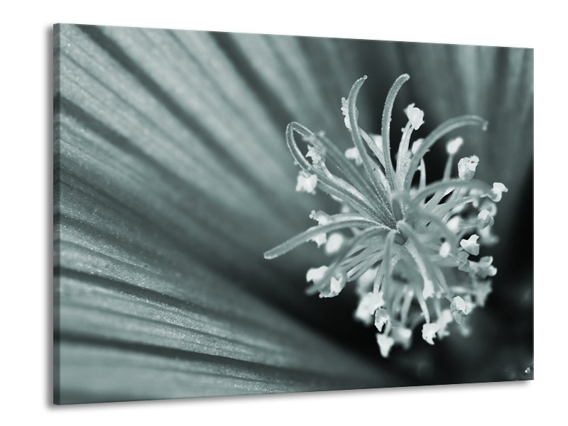 Canvas Schilderij Bloem | Grijs, Groen | 100x70cm 1Luik