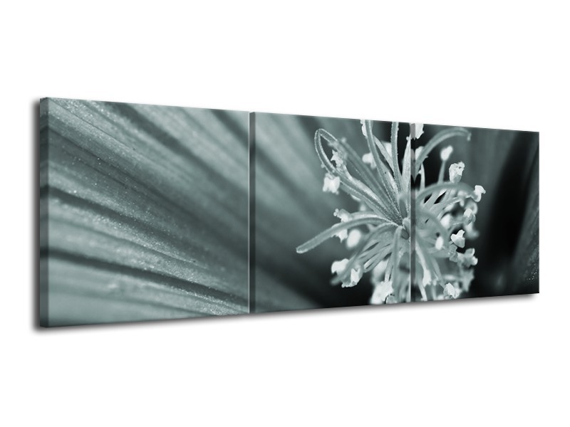 Canvas Schilderij Bloem | Grijs, Groen | 120x40cm 3Luik