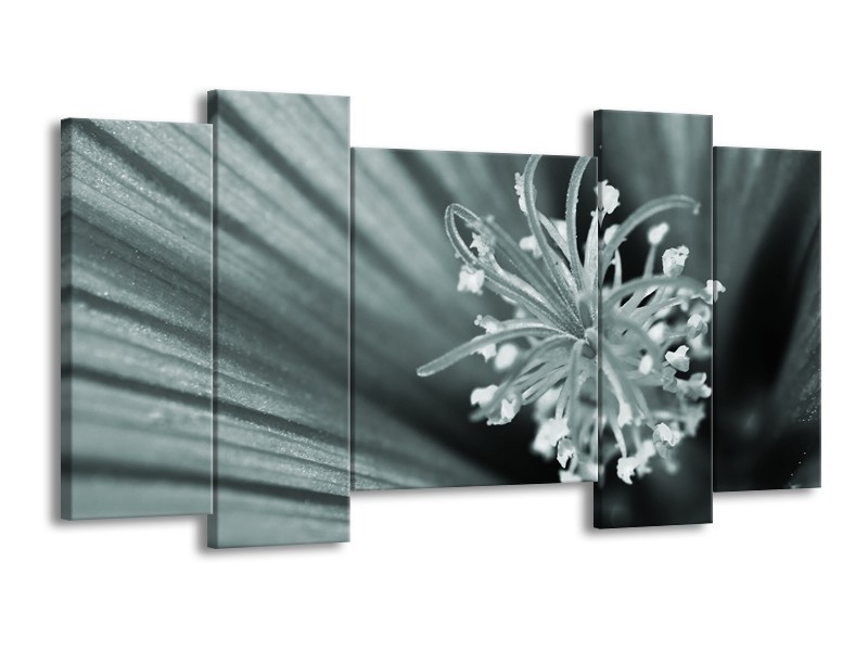 Canvas Schilderij Bloem | Grijs, Groen | 120x65cm 5Luik
