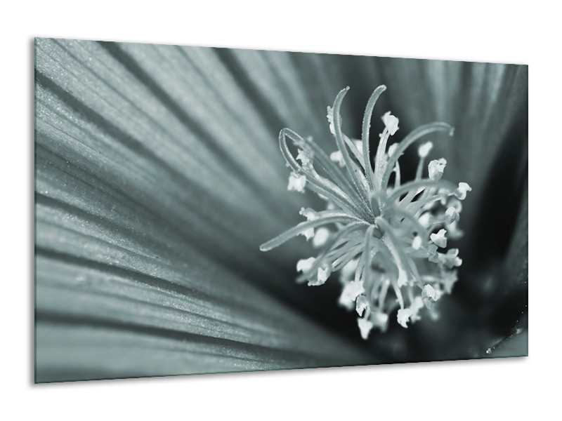 Canvas Schilderij Bloem | Grijs, Groen | 120x70cm 1Luik