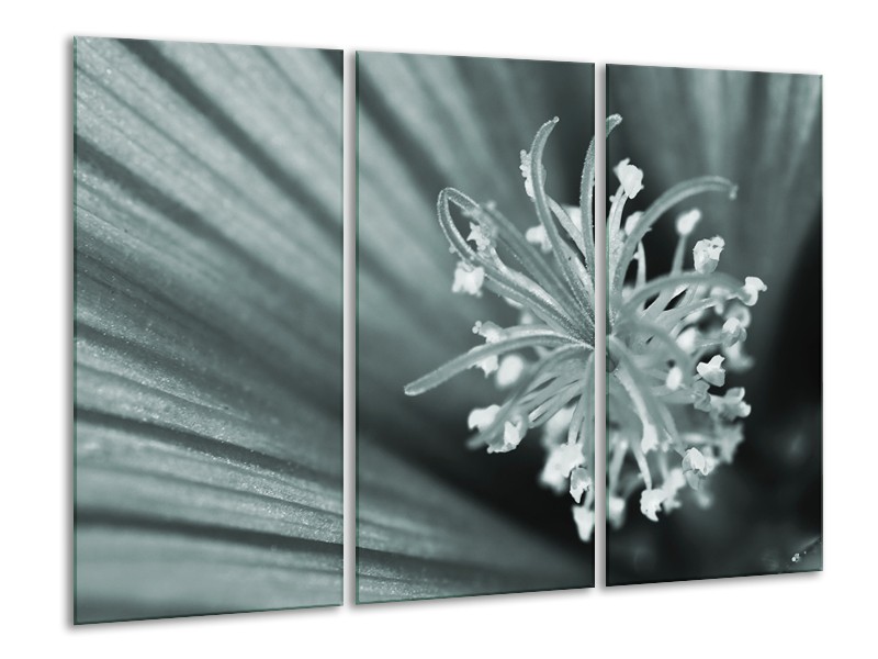 Canvas Schilderij Bloem | Grijs, Groen | 120x80cm 3Luik