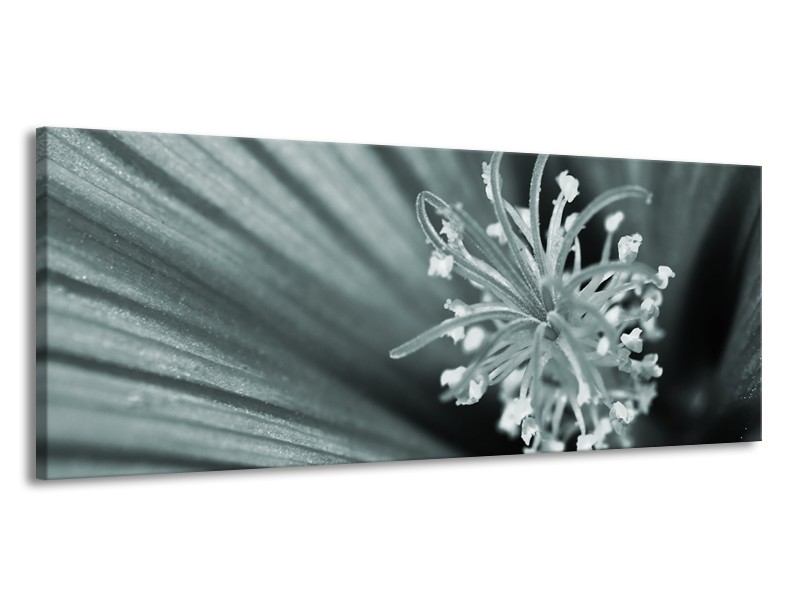Canvas Schilderij Bloem | Grijs, Groen | 145x58cm 1Luik