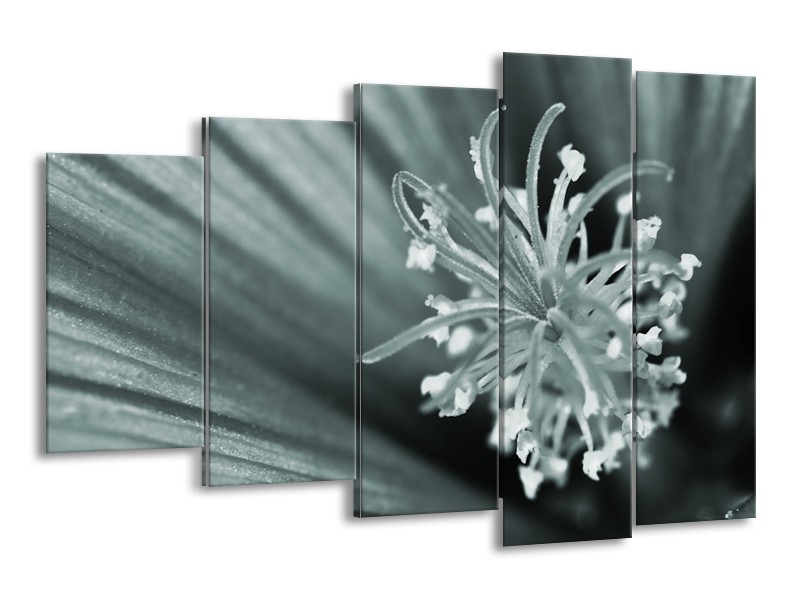 Canvas Schilderij Bloem | Grijs, Groen | 150x100cm 5Luik