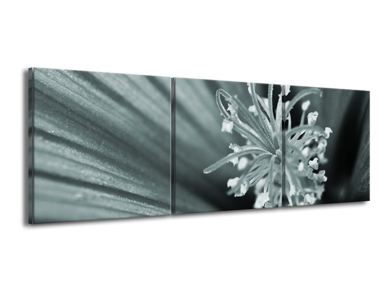 Canvas Schilderij Bloem | Grijs, Groen | 150x50cm 3Luik