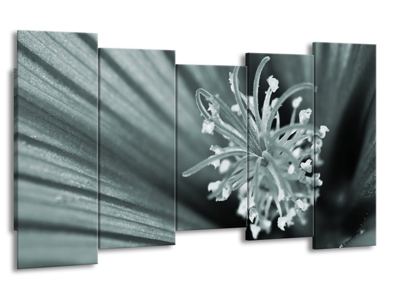 Canvas Schilderij Bloem | Grijs, Groen | 150x80cm 5Luik