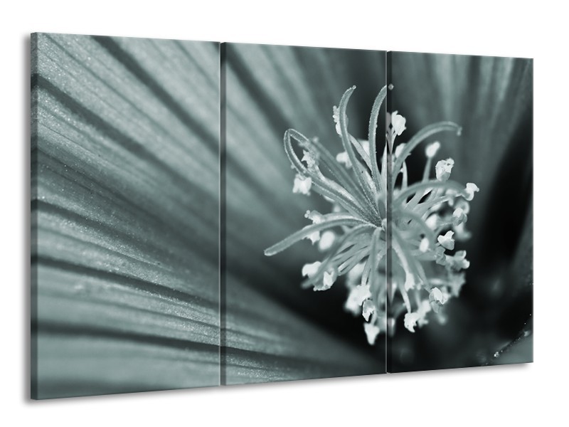 Canvas Schilderij Bloem | Grijs, Groen | 165x100cm 3Luik