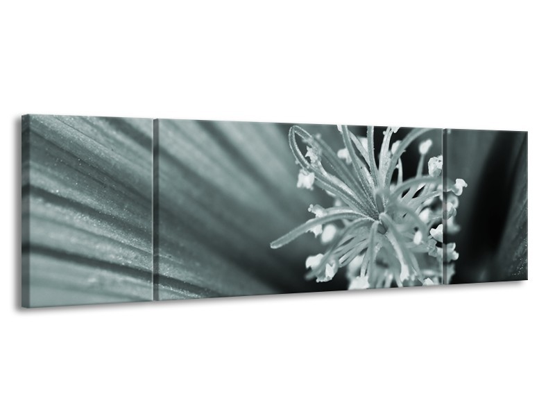 Canvas Schilderij Bloem | Grijs, Groen | 170x50cm 3Luik
