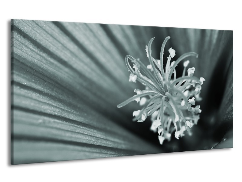 Canvas Schilderij Bloem | Grijs, Groen | 190x100cm 1Luik