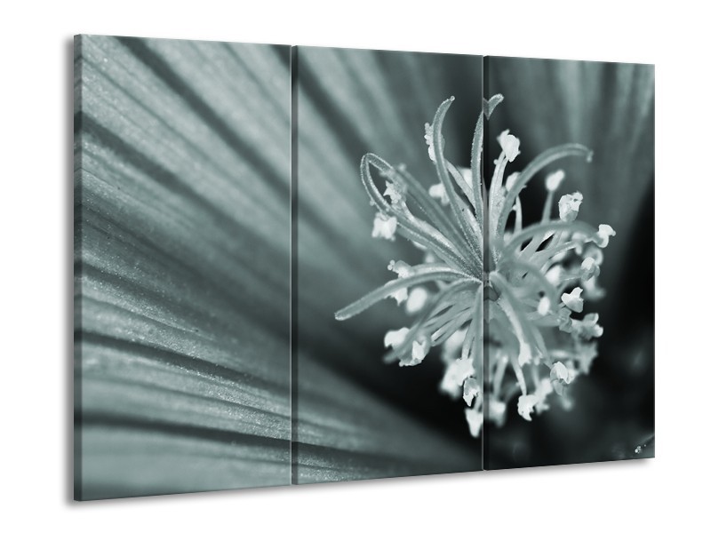 Canvas Schilderij Bloem | Grijs, Groen | 60x90cm 3Luik