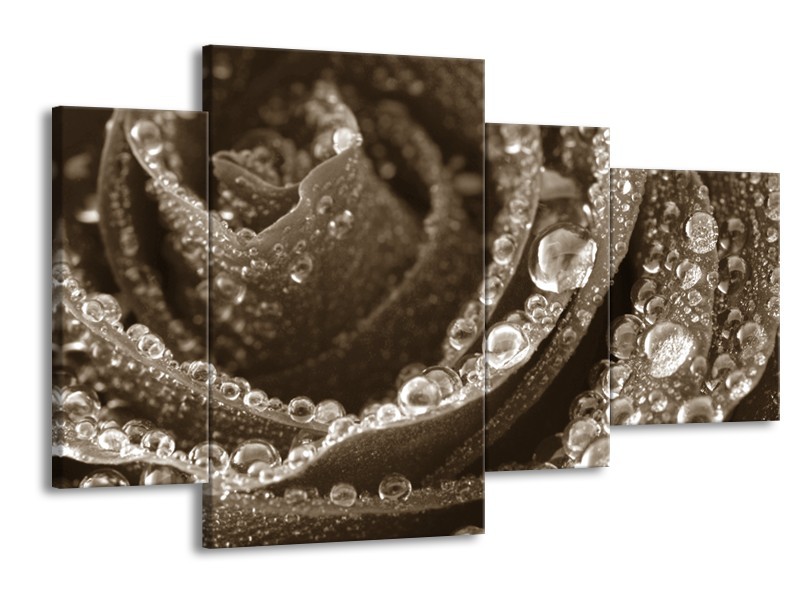 Canvas Schilderij Bloem,  | Sepia | 120x75cm 4Luik