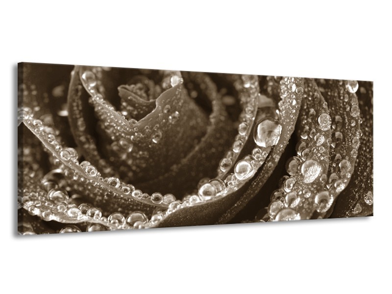 Glasschilderij Bloem, | Sepia | 145x58cm 1Luik