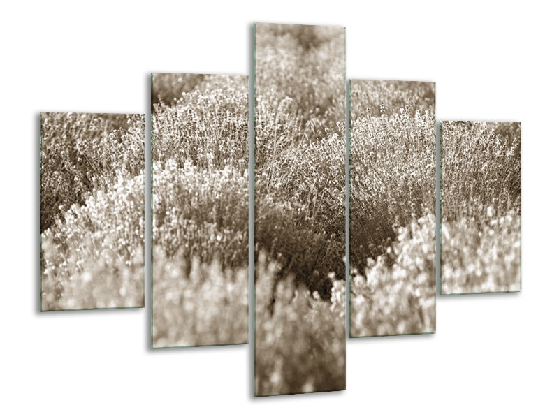 Glasschilderij Bloemen | Sepia | 100x70cm 5Luik