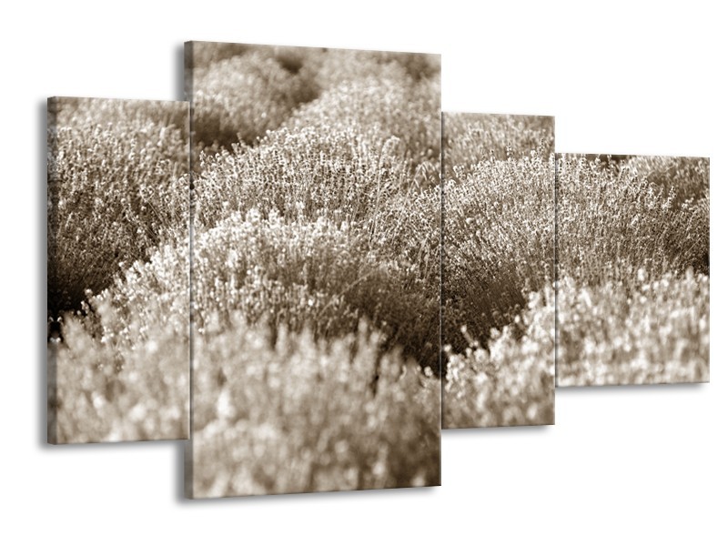 Glasschilderij Bloemen | Sepia | 120x75cm 4Luik