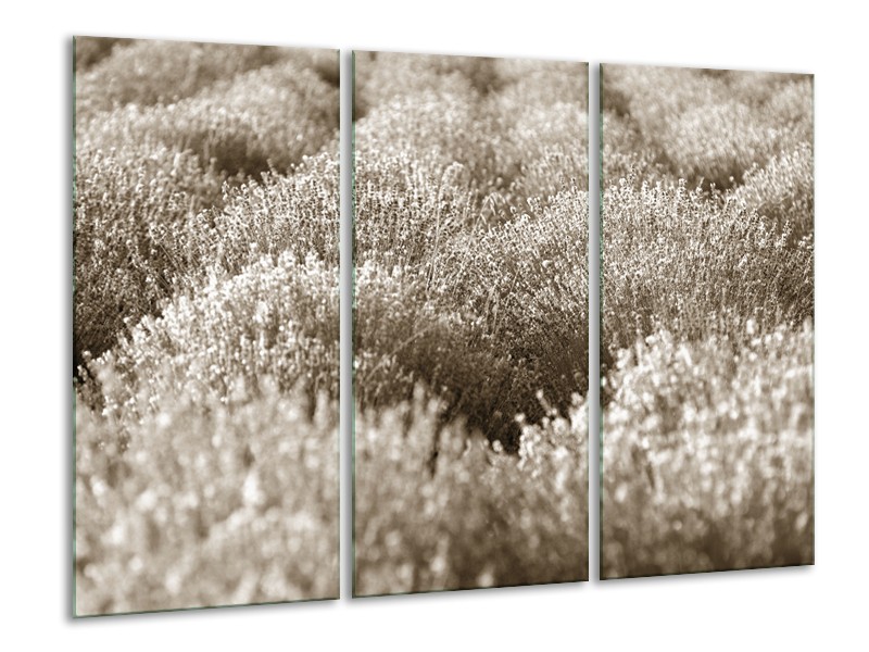 Glasschilderij Bloemen | Sepia | 120x80cm 3Luik