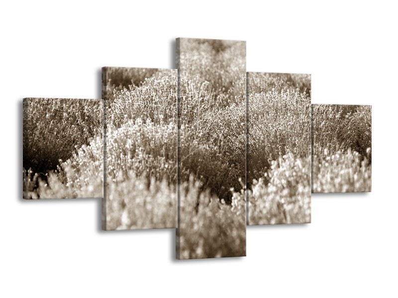 Glasschilderij Bloemen | Sepia | 125x70cm 5Luik