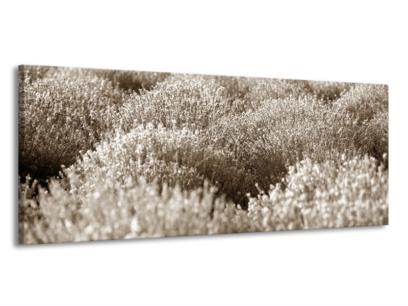 Canvas Schilderij Bloemen | Sepia | 145x58cm 1Luik