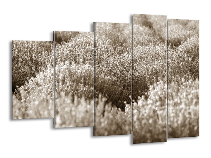 Canvas Schilderij Bloemen | Sepia | 150x100cm 5Luik