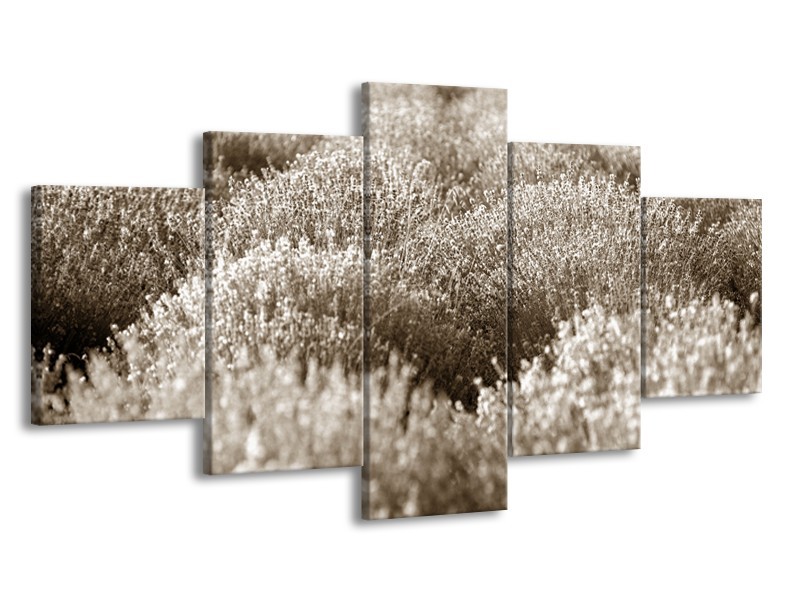 Glasschilderij Bloemen | Sepia | 150x80cm 5Luik