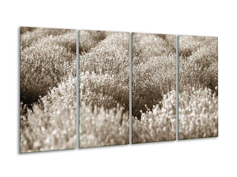 Canvas Schilderij Bloemen | Sepia | 160x80cm 4Luik