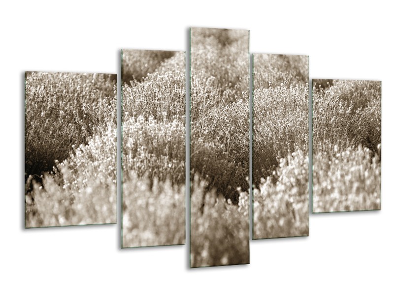 Glasschilderij Bloemen | Sepia | 170x100cm 5Luik