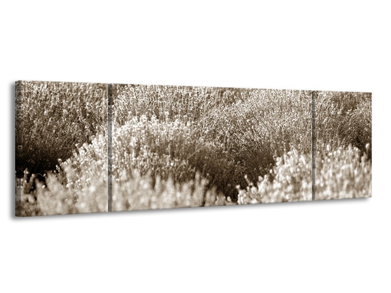 Canvas Schilderij Bloemen | Sepia | 170x50cm 3Luik