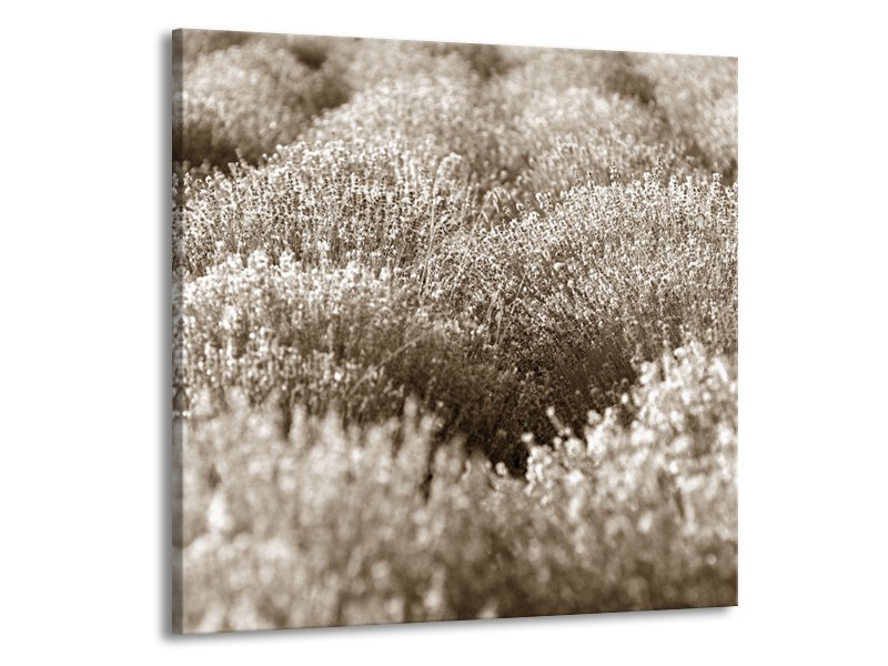 Canvas Schilderij Bloemen | Sepia | 50x50cm 1Luik