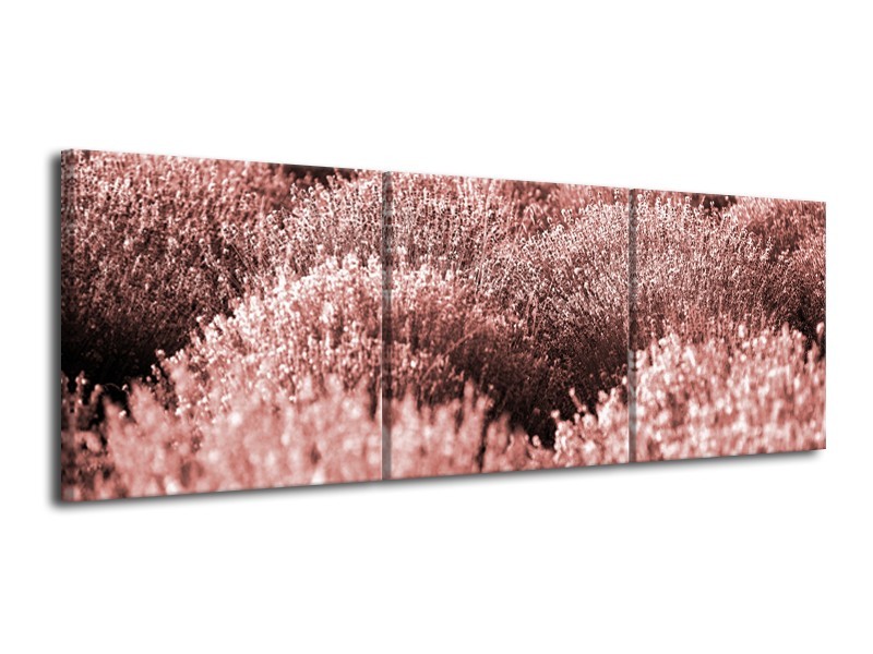 Glasschilderij Bloemen | Bruin, Rood | 120x40cm 3Luik