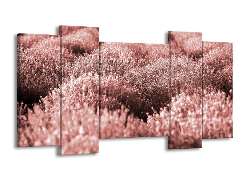 Glasschilderij Bloemen | Bruin, Rood | 120x65cm 5Luik